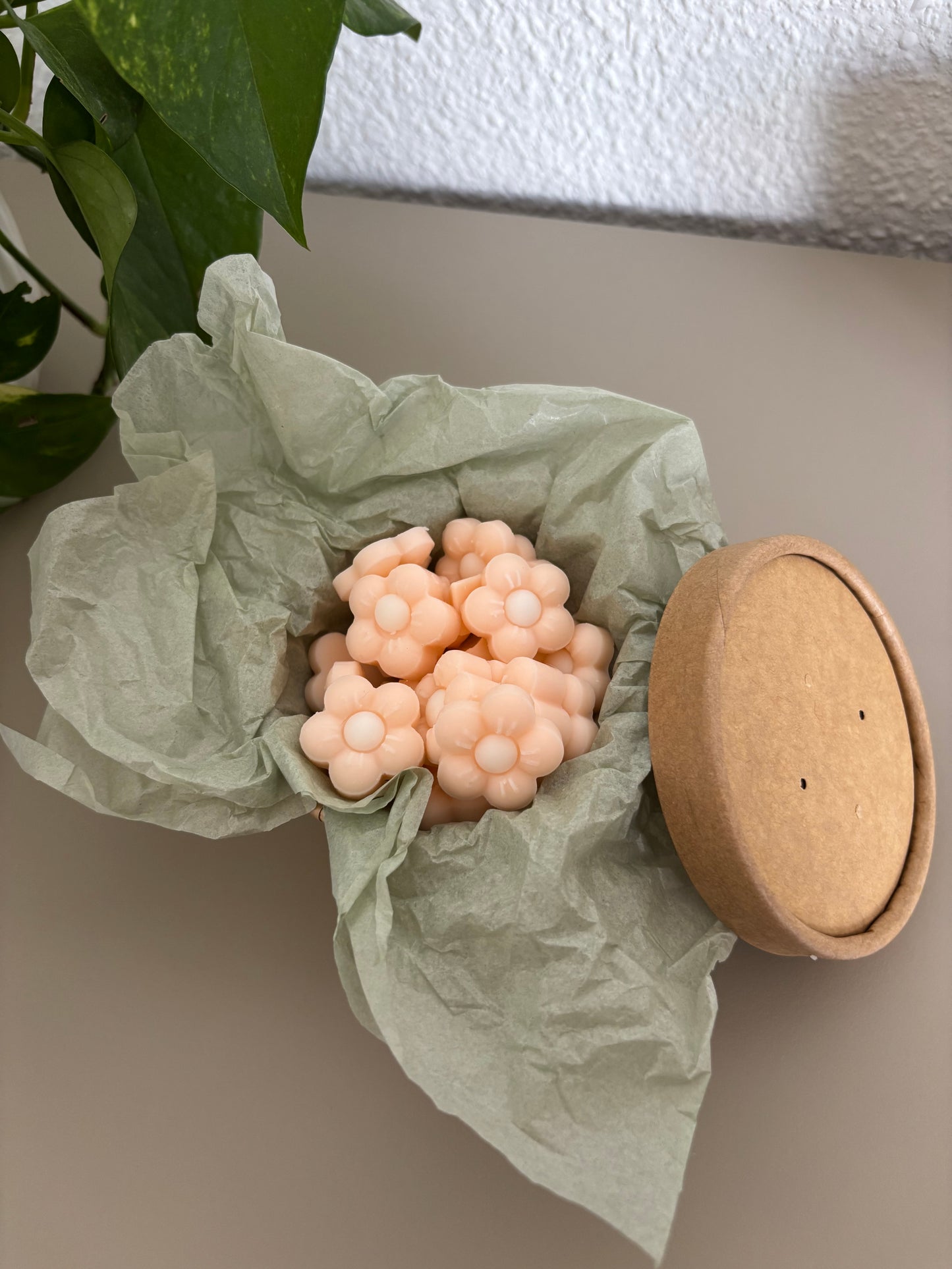 🌸 Wax Melts Flor de Cerezo – Colección Verano ✨