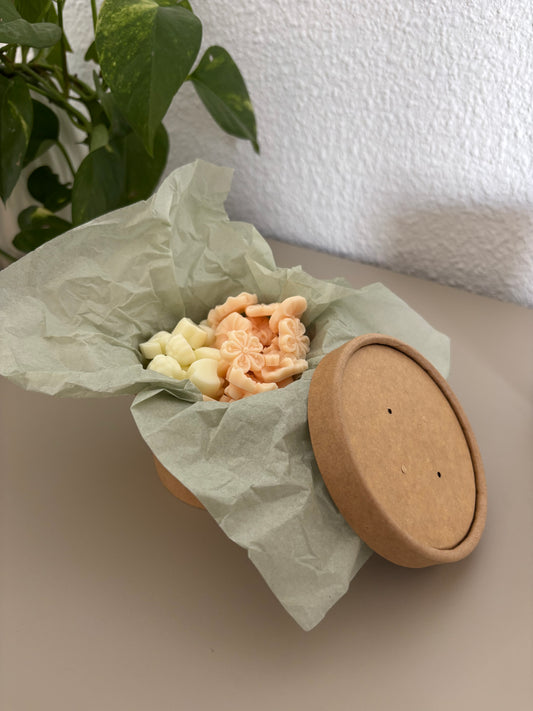 ✨ Wax Melts Aura – Colección Verano 🌸🍑