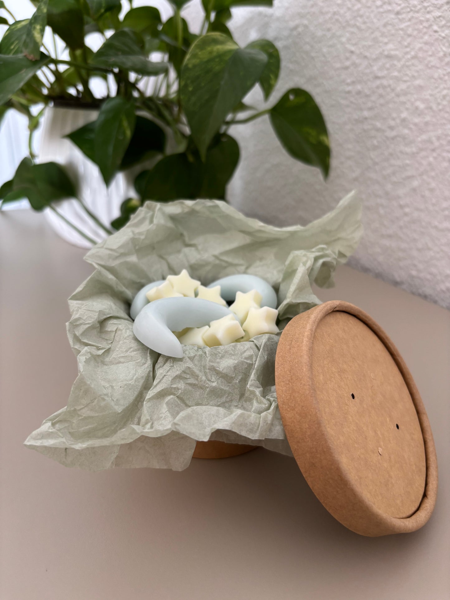 🌙 Wax Melts Ritual – Colección Verano ✨