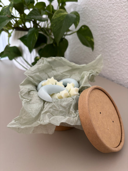 🌙 Wax Melts Ritual – Colección Verano ✨