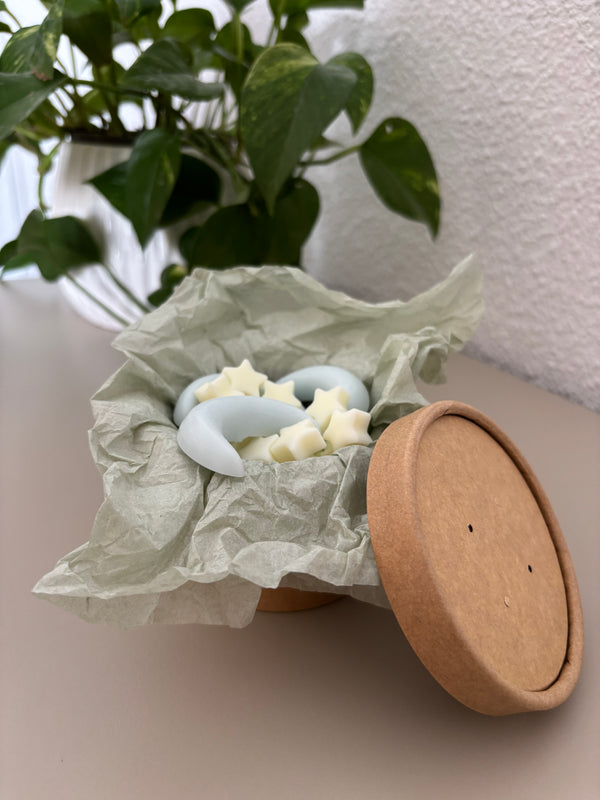 🌙 Wax Melts Ritual – Colección Verano ✨