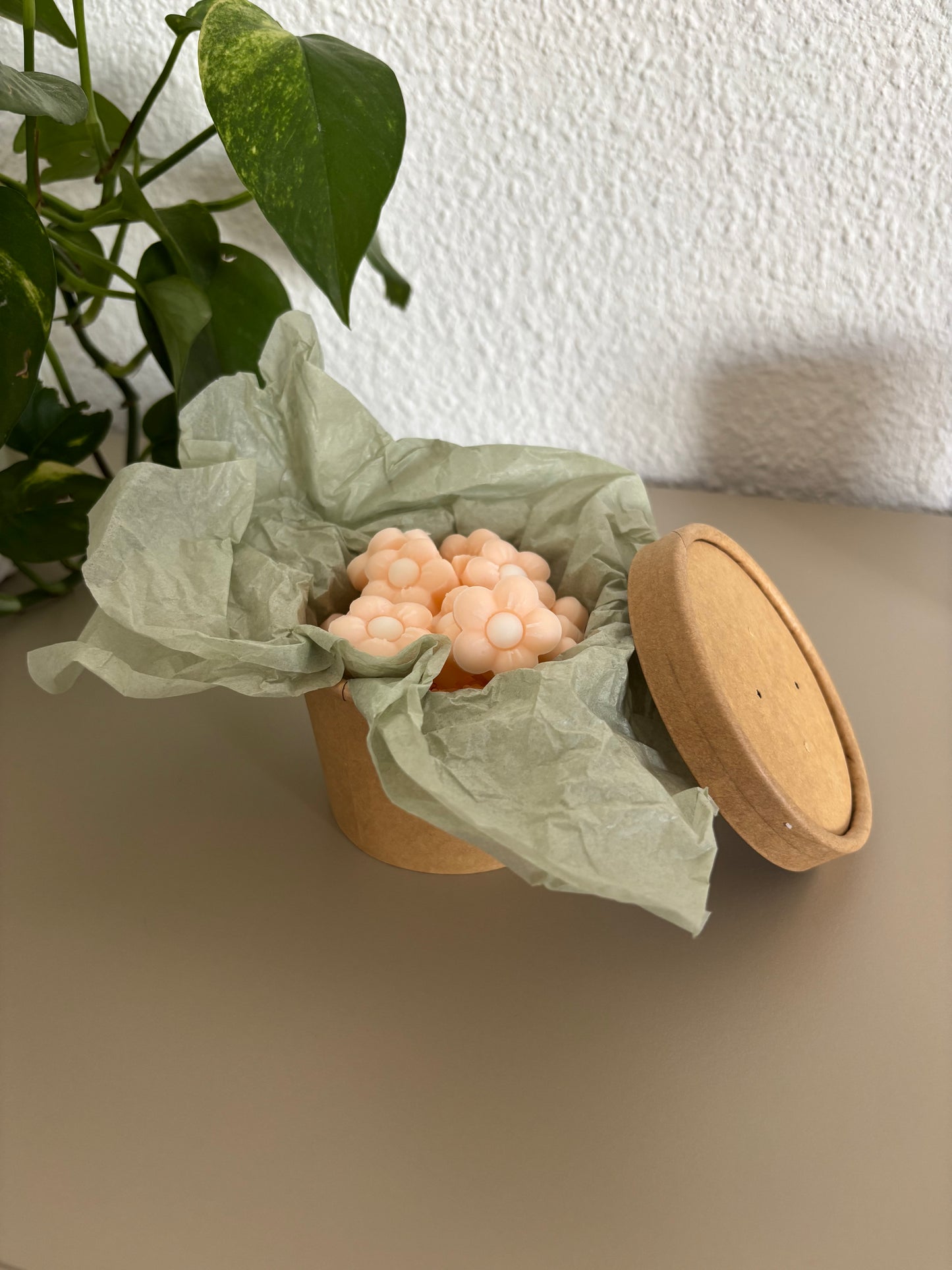 🌸 Wax Melts Flor de Cerezo – Colección Verano ✨