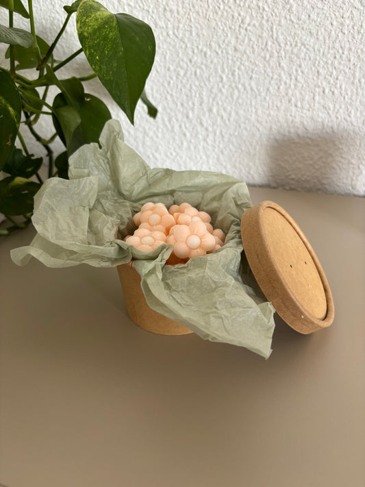 🌸 Wax Melts Flor de Cerezo – Colección Verano ✨