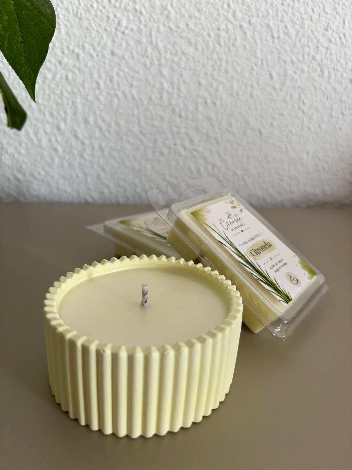 🍃🕯️ Vela Petite Citronela – Colección Verano ☀️