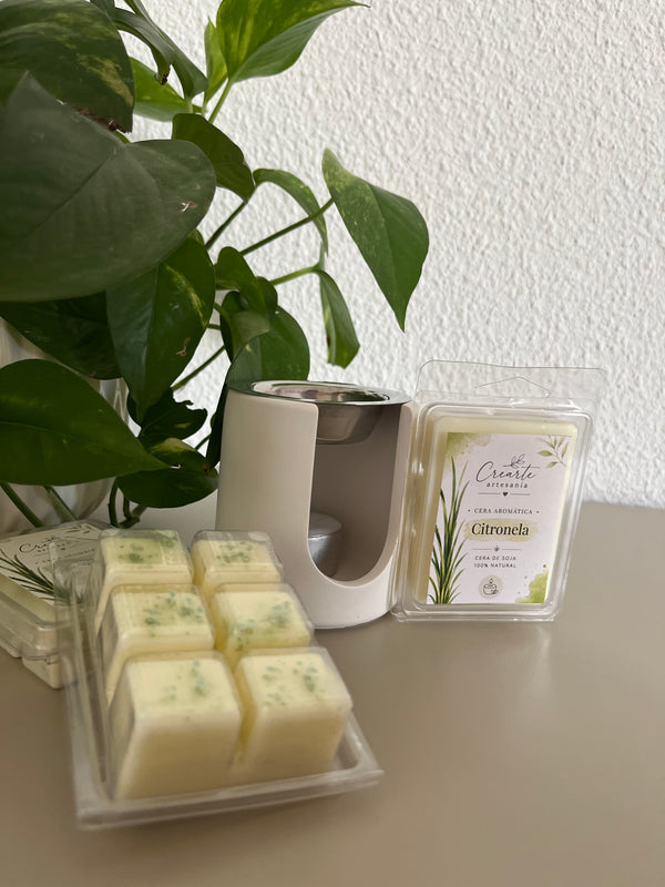 🍃✨ Wax Melts Citronela – Colección Verano ✨🍃