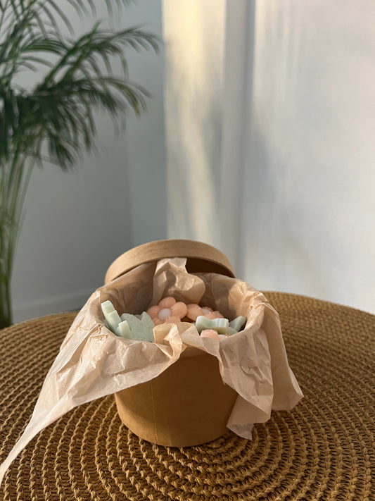 🌸✨ Flor de Bambú & Cerezo – Colección Primavera ✨🌸