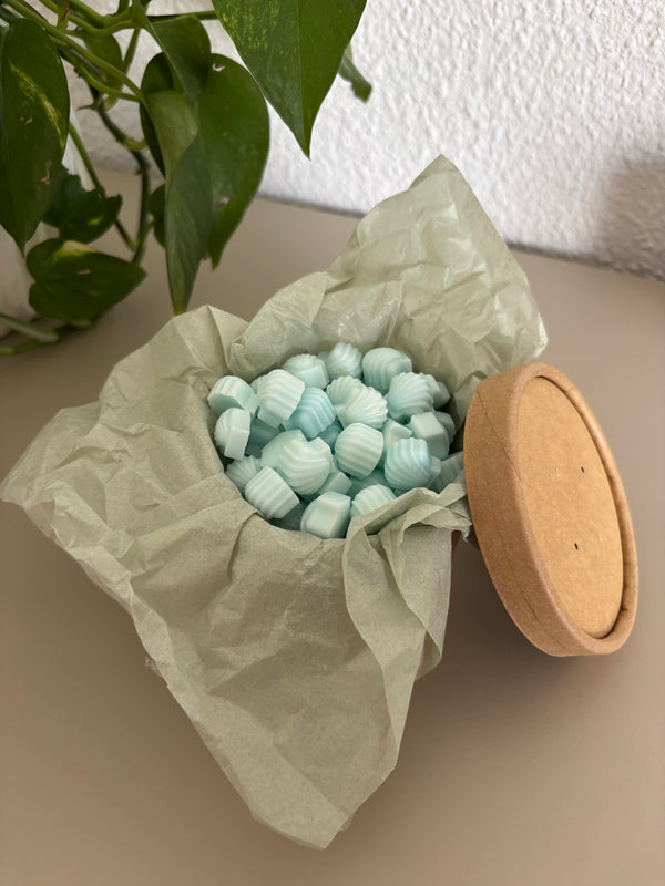 🌊 Wax Melts Oceánico – Colección Verano 🐚✨