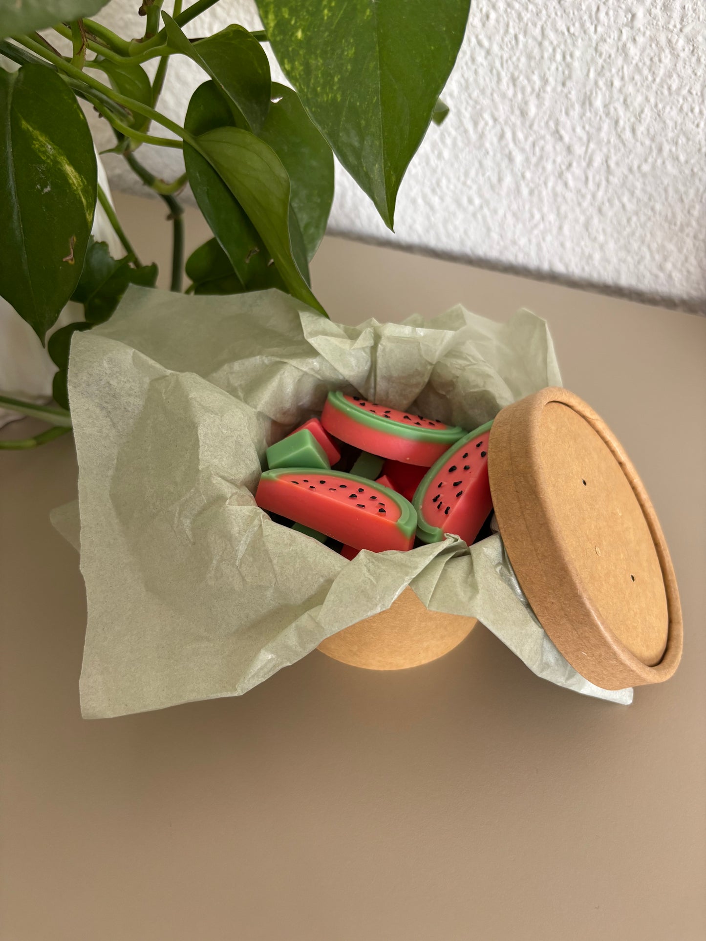 🍉 Wax Melts Sandía – Colección Verano ☀️