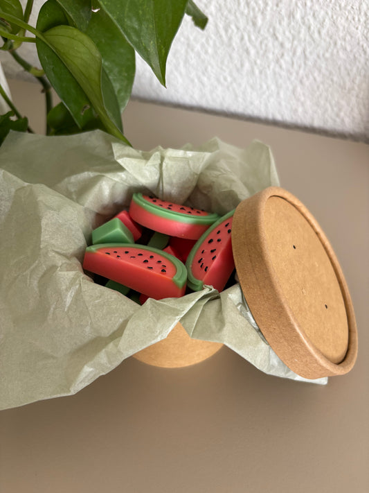 🍉 Wax Melts Sandía – Colección Verano ☀️