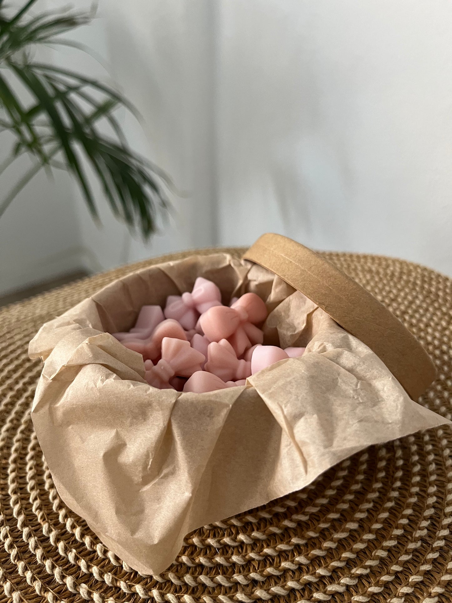 🌸✨ Tentación – Colección de Primavera ✨🌸