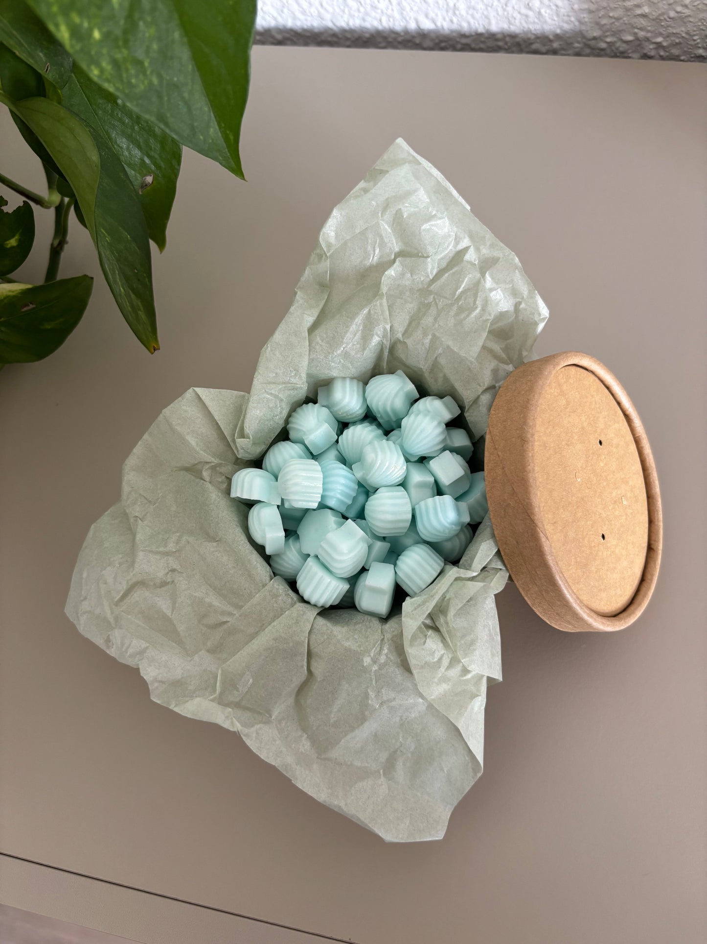 🌊 Wax Melts Oceánico – Colección Verano 🐚✨
