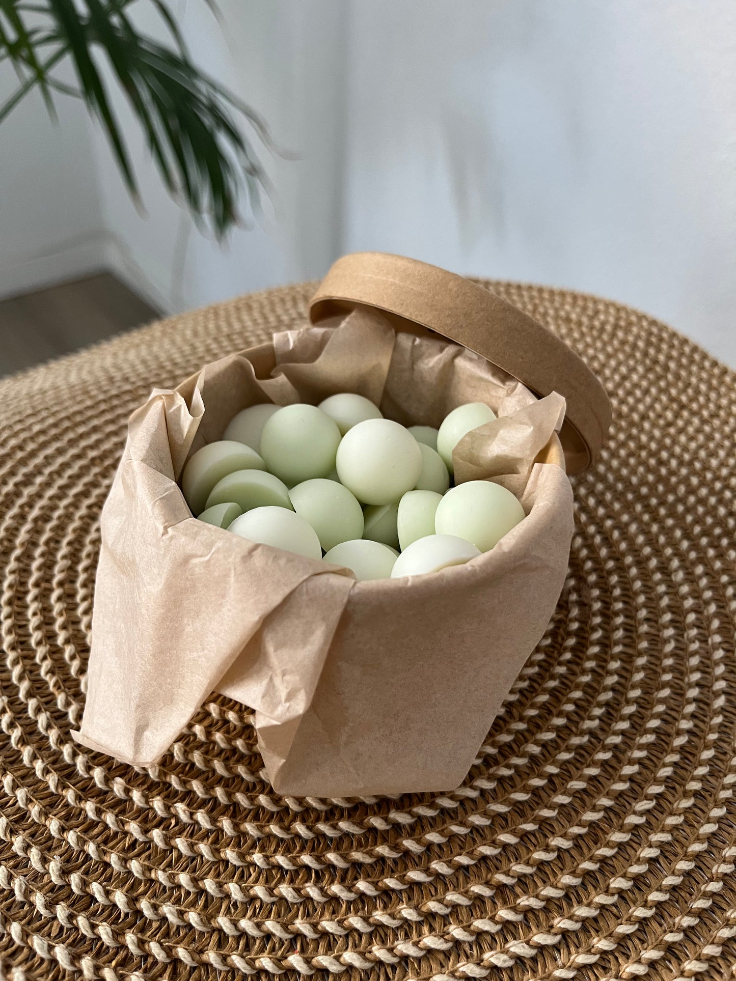 🌿✨ Coco & Cítricos - Colección Primavera ✨🌿