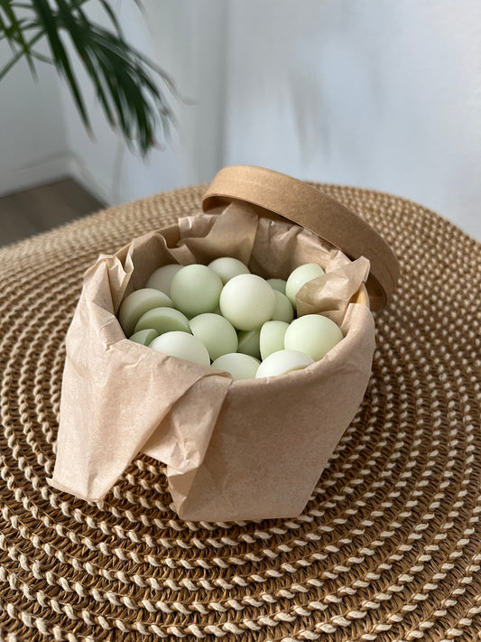 🌿✨ Coco & Cítricos - Colección Primavera ✨🌿