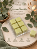 🌿 CONCENTRACIÓN