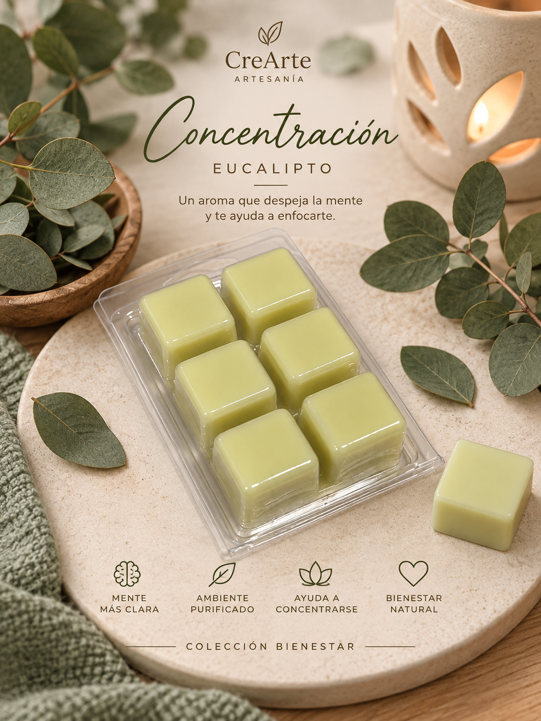 🌿 CONCENTRACIÓN