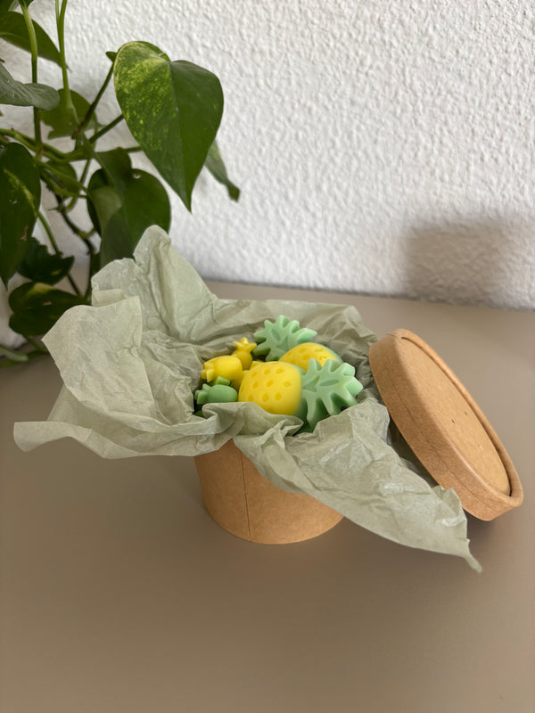 🍍 Wax Melts Piña Colada – Colección Verano ☀️🥥