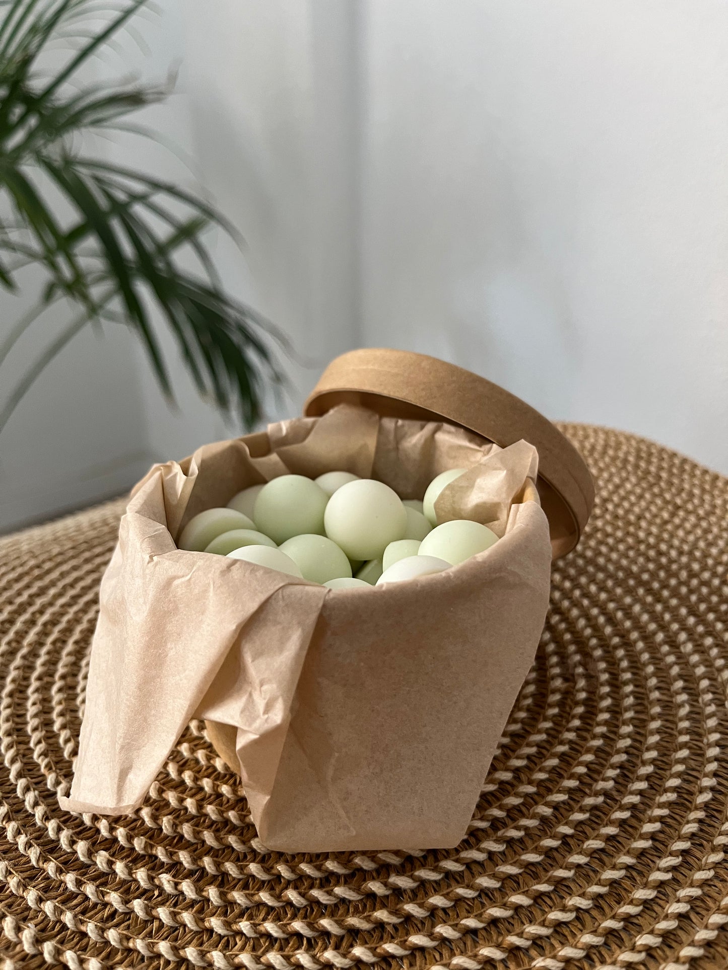 🌿✨ Coco & Cítricos - Colección Primavera ✨🌿