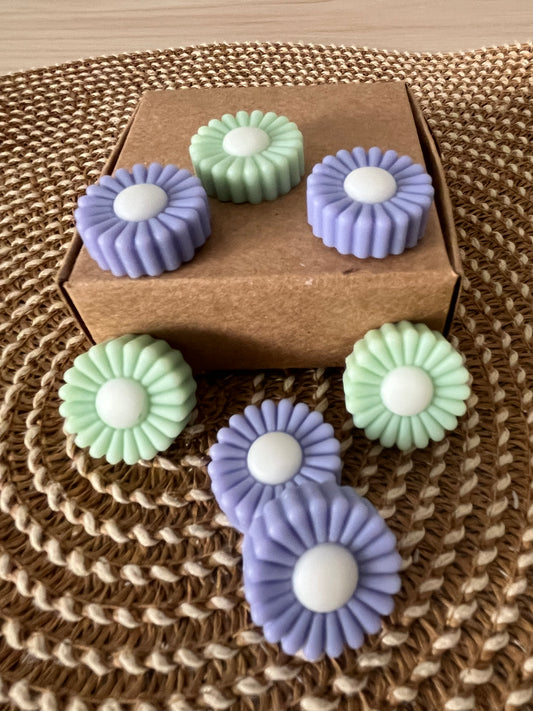 Aloe vera y lavanda.