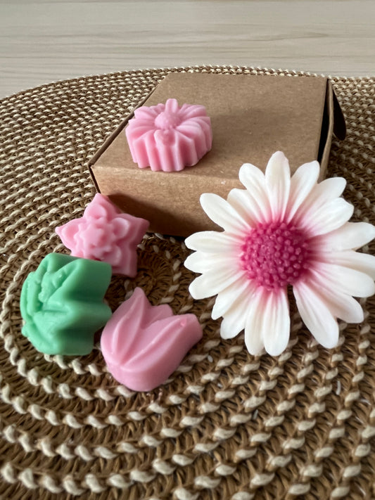 Flor de loto e higos.